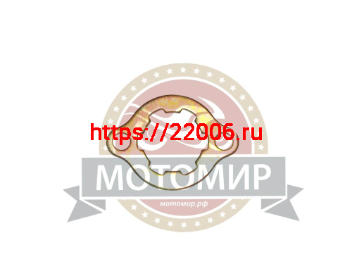 Шайба стопорная звезды ведущей  ATV  (6*20*25)  Россия