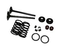 Ремкомплект головки (клапана, сухари, пружины, тарелки)(E01-1,2,3,4,5,6,7)