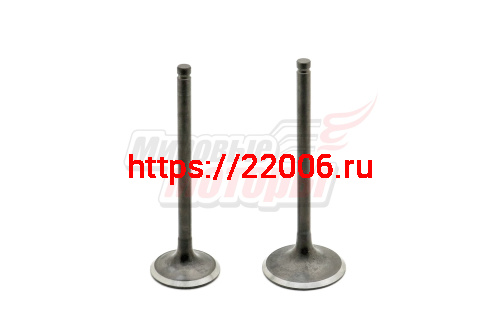 Клапаны (впуск/выпуск) 169FMМ (CB250) Клапаны (впуск/выпуск) 169FMМ (CB250)