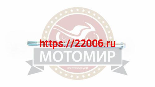 Ось вилки маятника (D12мм, М12*1.5мм*260мм) RACER RC250GY-C2 PANTHER L00PZ084